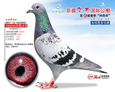 新疆飞天决赛18名