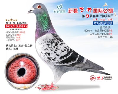 新疆飞天决赛19名