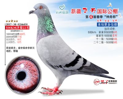 新疆飞天决赛22名