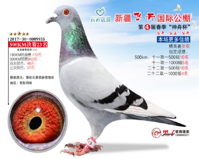 新疆飞天决赛23名