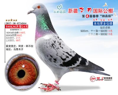 新疆飞天决赛24名