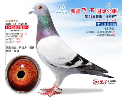 新疆飞天决赛25名