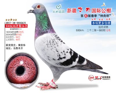 新疆飞天决赛26名