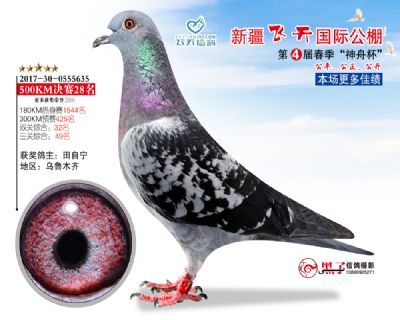 新疆飞天决赛28名