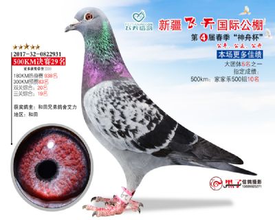 新疆飞天决赛29名