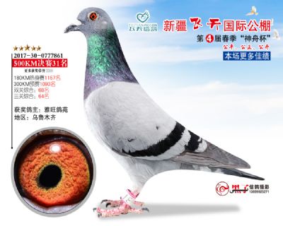 新疆飞天决赛31名