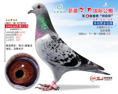 新疆飞天决赛32名