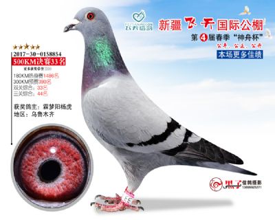 新疆飞天决赛33名