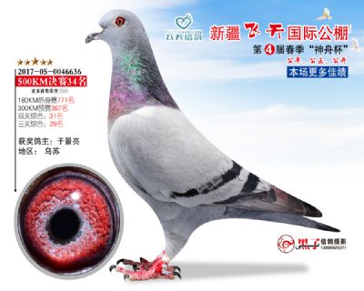 新疆飞天决赛34名