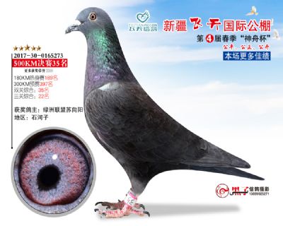 新疆飞天决赛35名
