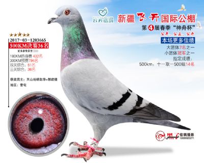 新疆飞天决赛36名