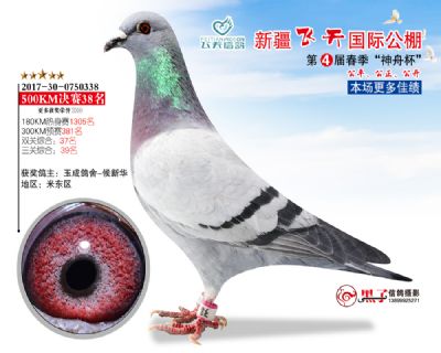 新疆飞天决赛38名