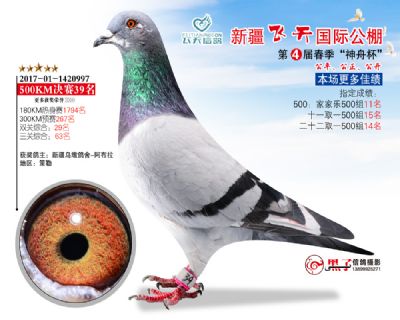 新疆飞天决赛39名
