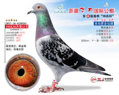 新疆飞天决赛43名