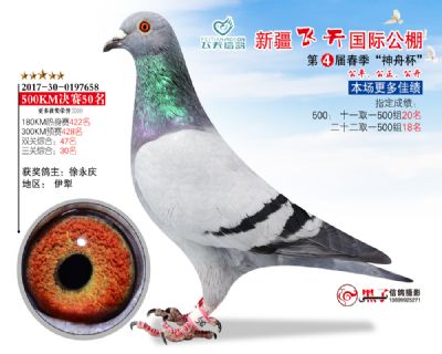 新疆飞天决赛50名