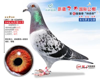 新疆飞天决赛55名