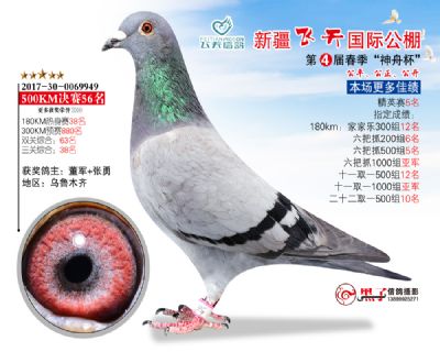 新疆飞天决赛56名