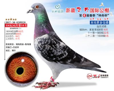新疆飞天决赛58名