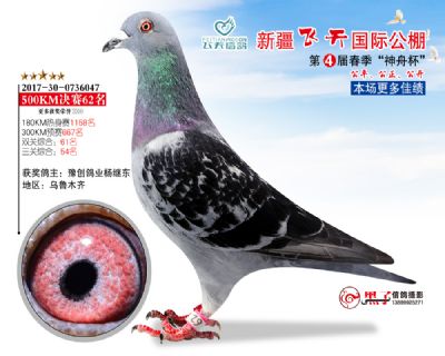 新疆飞天决赛62名