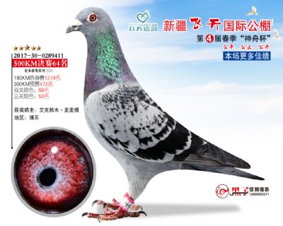 新疆飞天决赛64名