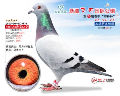 新疆飞天决赛66名