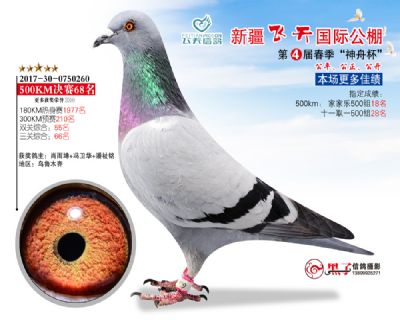 新疆飞天决赛68名