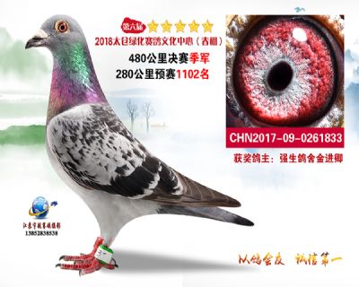 太仓绿化决赛季军