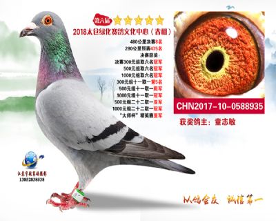 太仓绿化决赛8名