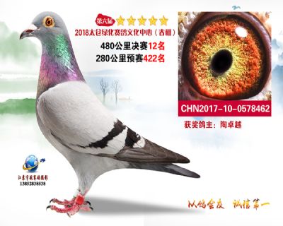 太仓绿化决赛12名