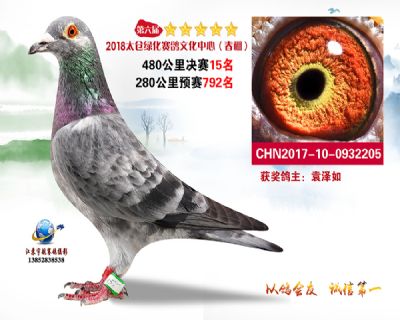 太仓绿化决赛15名