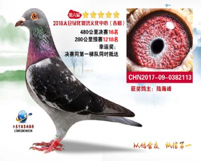 太仓绿化决赛16名