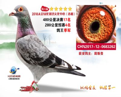 太仓绿化决赛17名