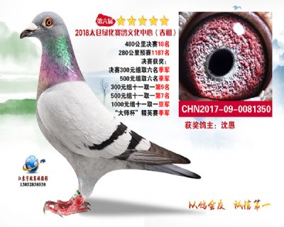 太仓绿化决赛18名