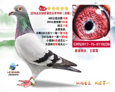太仓绿化决赛19名