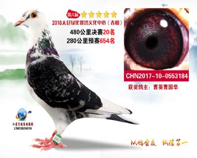 太仓绿化决赛20名