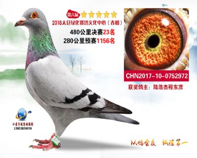 太仓绿化决赛23名