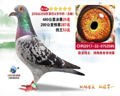 太仓绿化决赛25名
