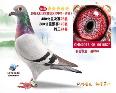 太仓绿化决赛26名