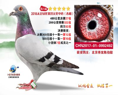 太仓绿化决赛27名