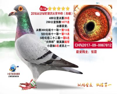 太仓绿化决赛28名