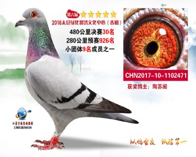 太仓绿化决赛30名