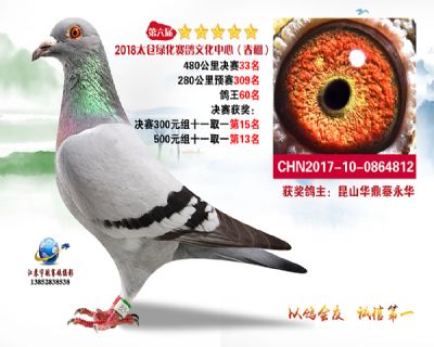 太仓绿化决赛33名