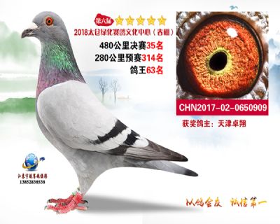 太仓绿化决赛35名