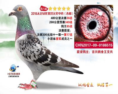 太仓绿化决赛36名
