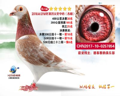 太仓绿化决赛38名