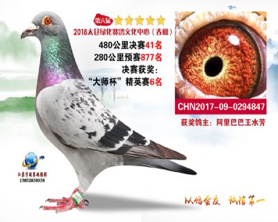 太仓绿化决赛41名
