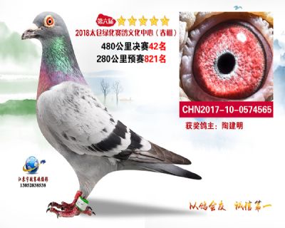 太仓绿化决赛42名