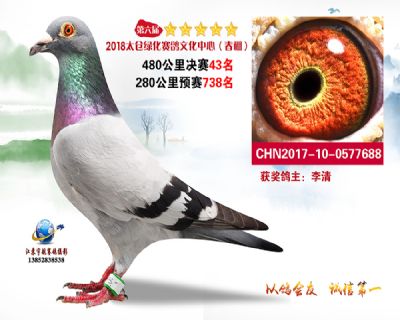 太仓绿化决赛43名