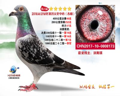 太仓绿化决赛46名