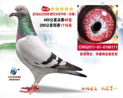 太仓绿化决赛48名